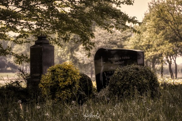 Ayenwolde Historischer Friedhof in Ostfriesland - Mai 2019