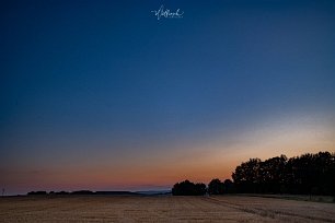 DSCF8516