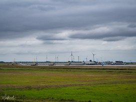 20190915-P9150097