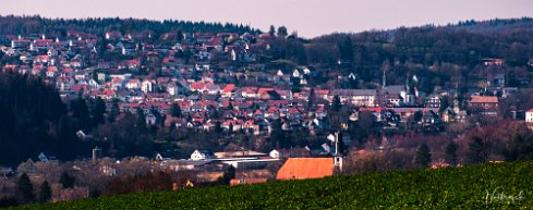 wutfrosch-20220323-1-19