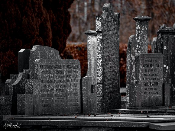 Friedhof Finsterwolde Januar 2020