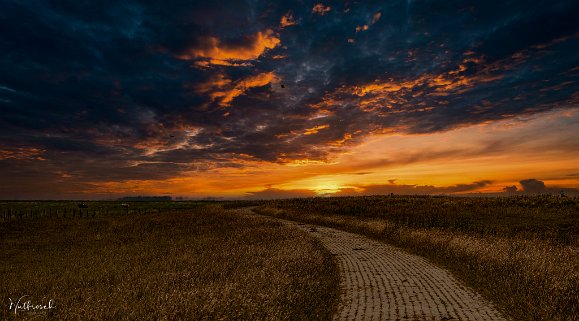 Hilgenriedersiel Naturstrand Hilgenriedersiel, absolut sehenswert. Mit Blick auf Norderney