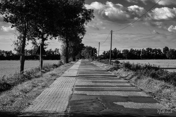 Ostfriesische Landschaft Einfach mal runter von der Hauptstrasse.. 20.09.2021