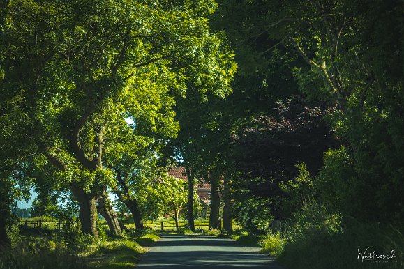 Tour durchs Rheiderland Tour durchs Rheiderland - Hatzumerfehn Juni 2022