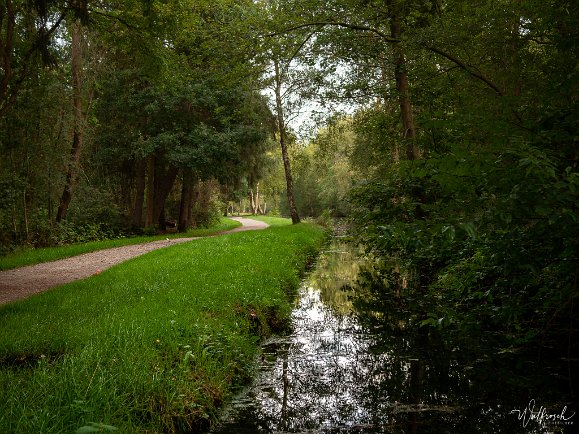 Abendspaziergang in Wiesmoor Im Wald am Torf- und Siedlungsmuseum Wiesmoor - September 2019